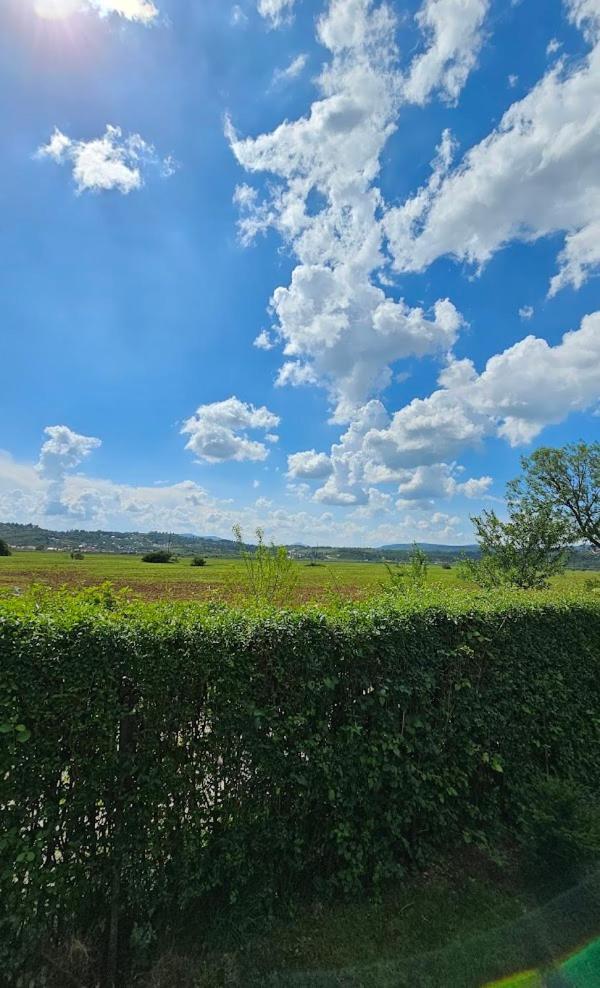 Field Saraievo